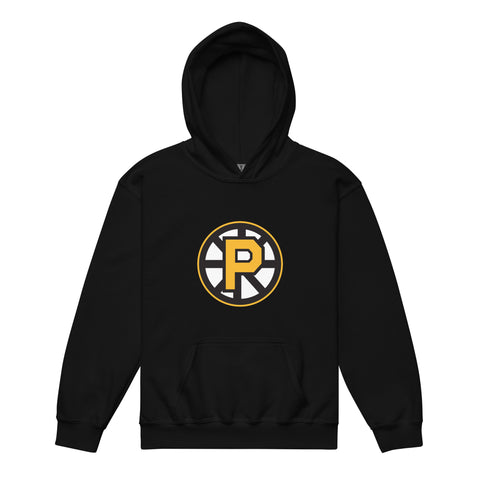 Providence Bruins –