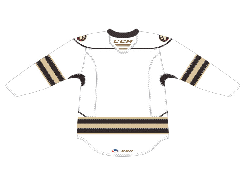 The best selling] Personalized AHL Hershey Bears Color jersey