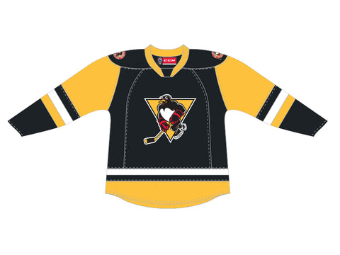 NHL Pittsburgh Penguins Premier Jersey, Black, Small 