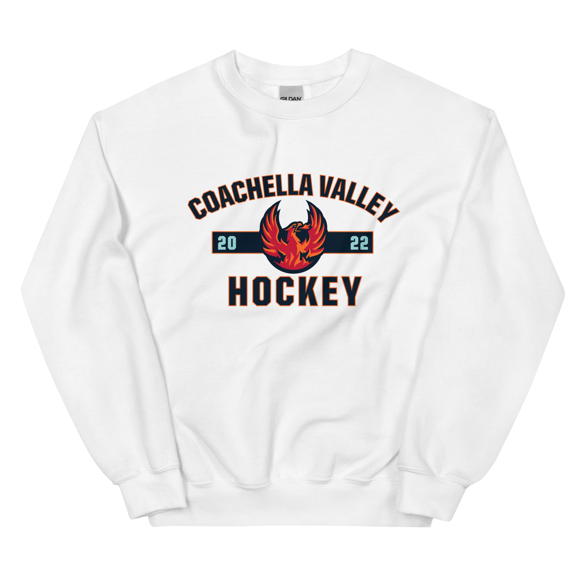 AHL Calder cup finals 2023 Hershey Bears vs Coachella Valley Firebirds shirt,  hoodie, sweater and v-neck t-shirt