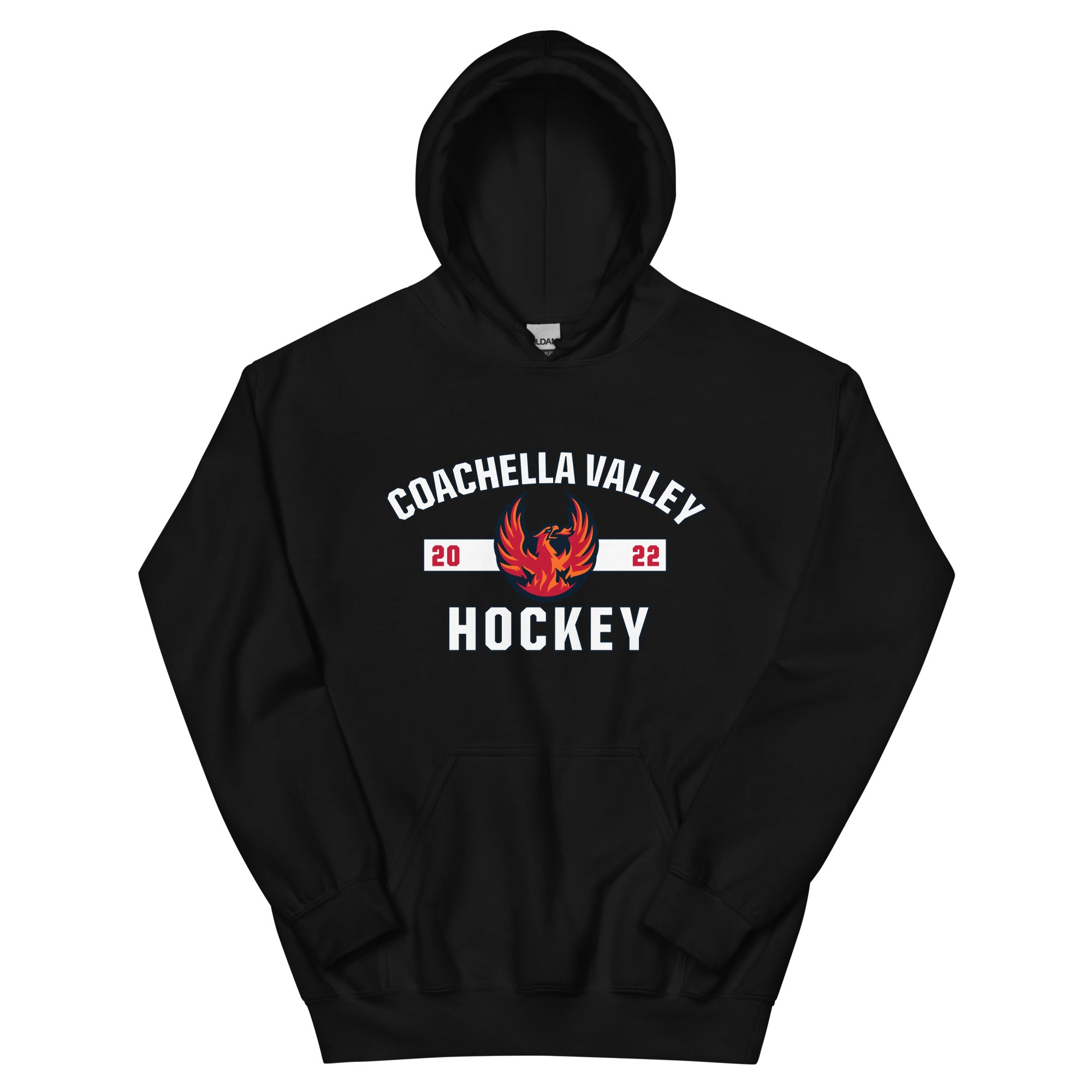 Coachella shops Hoodie